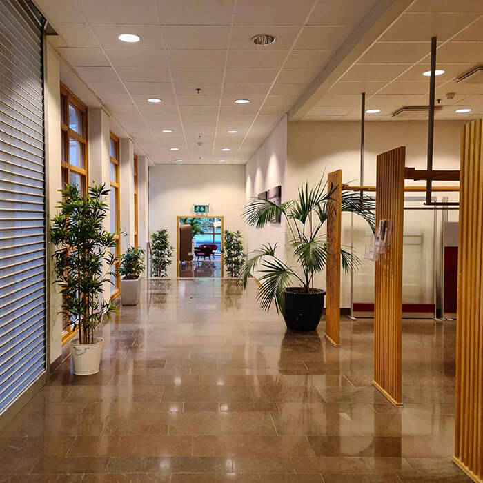 Cautious Suites and Procedure Rooms